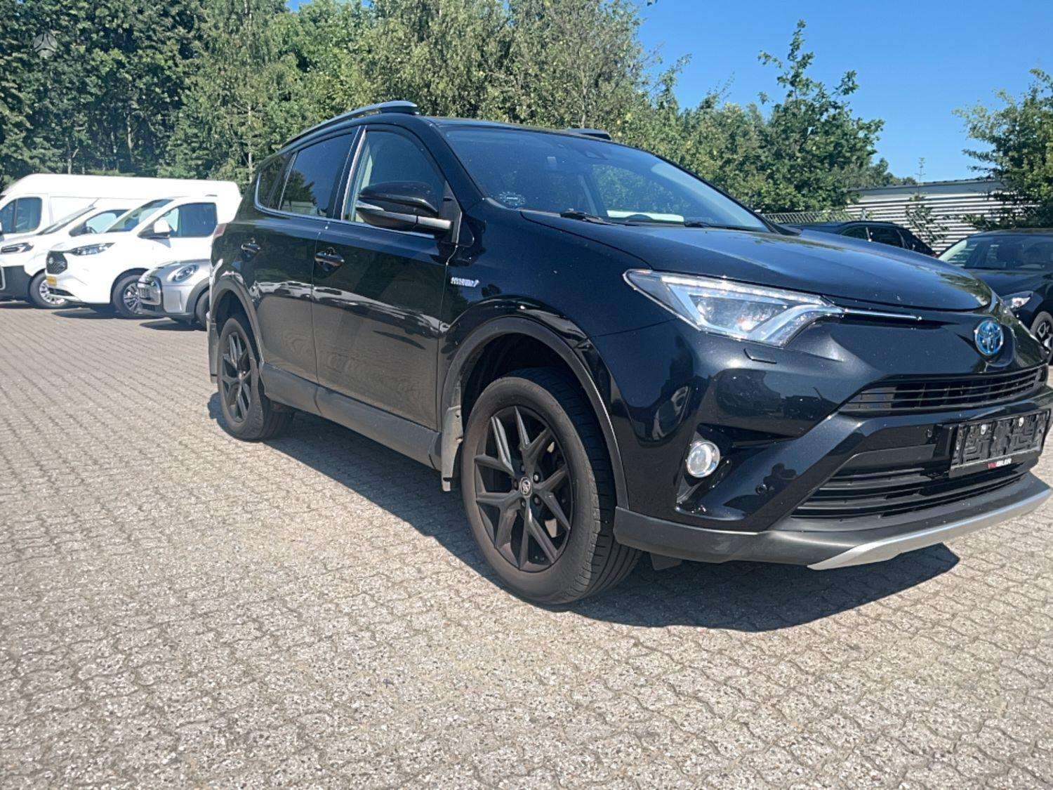 Toyota RAV4 2018-09 Visureigis / Krosoveris